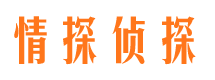 岚县市侦探调查公司